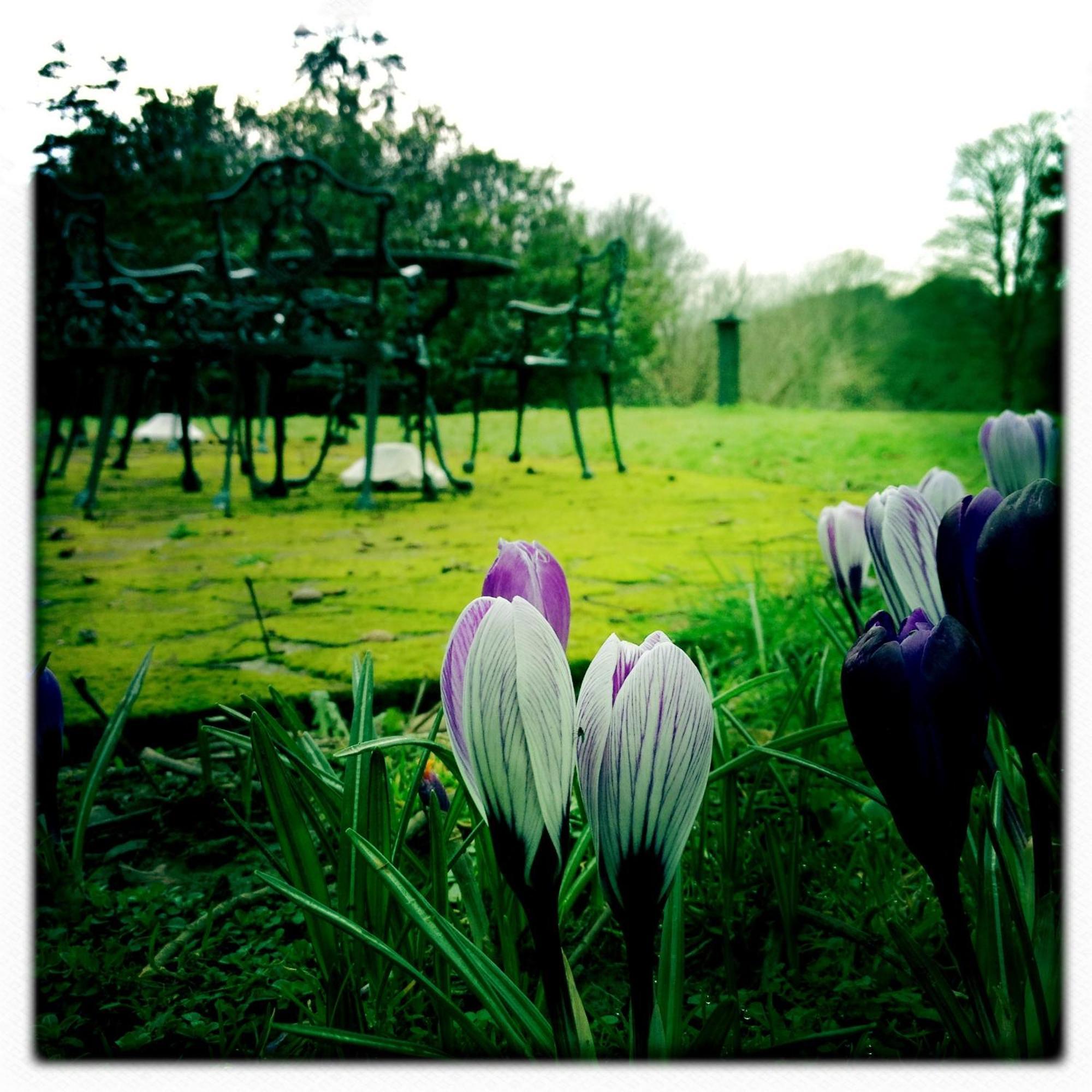 The Lake Country House Hotel & Spa Llangammarch Wells Eksteriør bilde